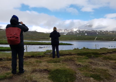 Mama Hulda auf Expedition nach Island. Auf der Suche nach den besten Eider-Daunen der Welt: Für den besten natürlichen Schlaf.